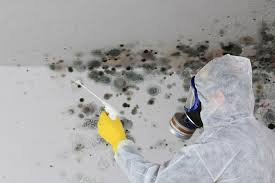 Best Mold Removal for HVAC Installations  in Mangum, OK